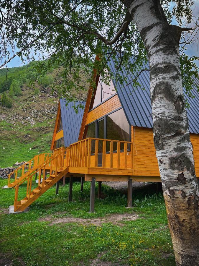Pine Chalet Kazbegi Eksteriør bilde
