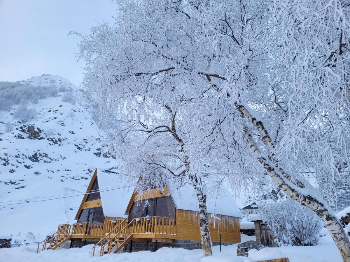 Pine Chalet Kazbegi Eksteriør bilde